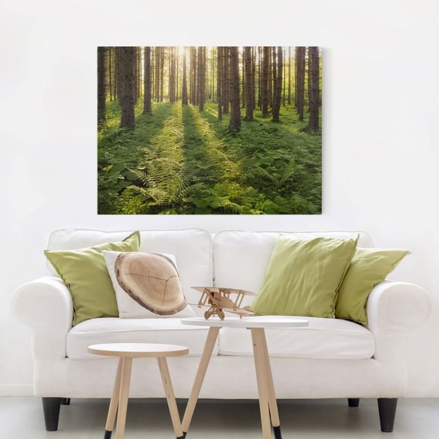 Rainer Mirau Bilder Sonnenstrahlen in grünem Wald