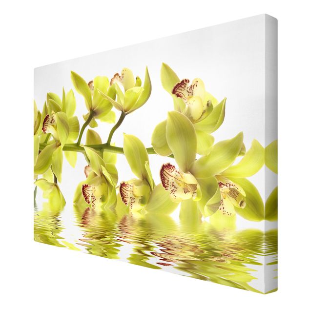 Leinwandbild - Splendid Orchid Waters - Quer 3:2