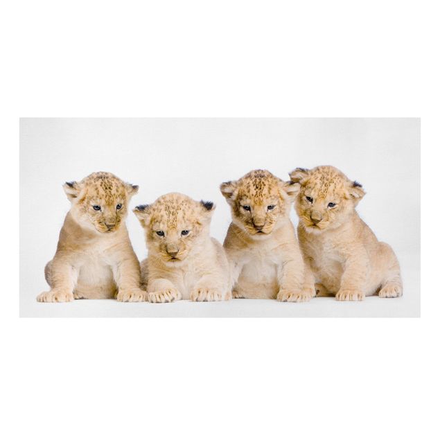 Leinwandbild - Sweet Lion Babys - Quer 2:1