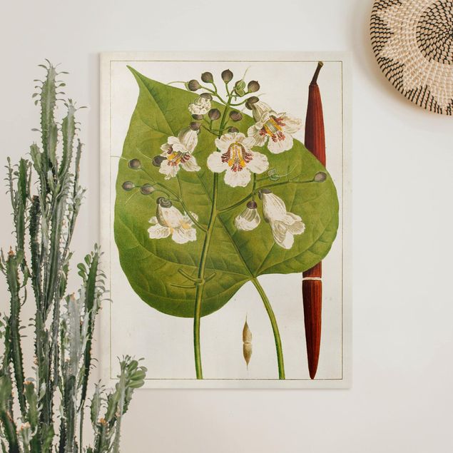 Leinwandbilder modern Tableau Blatt Blüte Frucht V