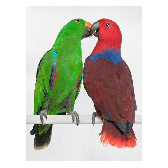 Leinwandbild - Verliebte Papageien - Hoch 3:4