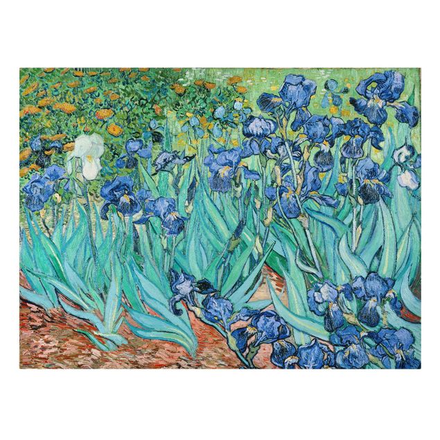 Leinwandbilder kaufen Vincent van Gogh - Iris