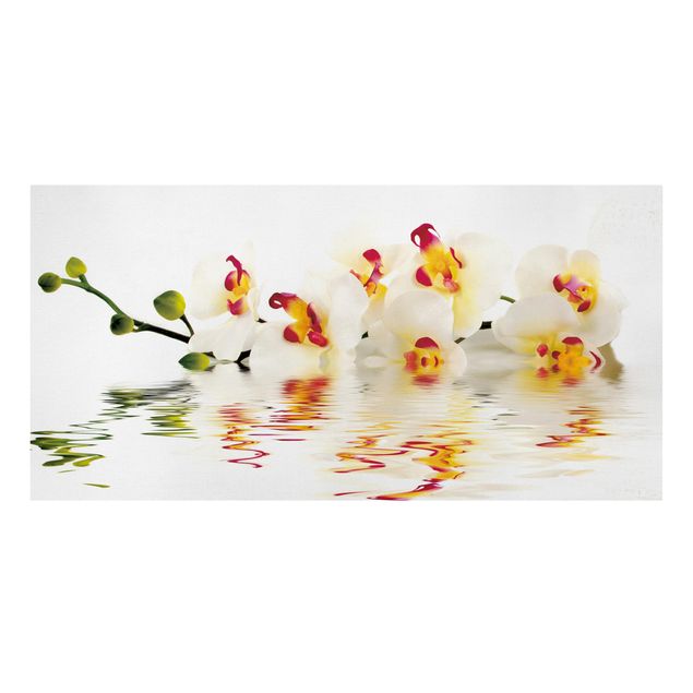 Leinwandbild - Vivid Orchid Waters - Quer 2:1