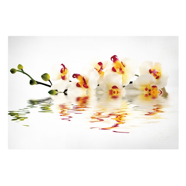 Leinwandbild - Vivid Orchid Waters - Quer 3:2