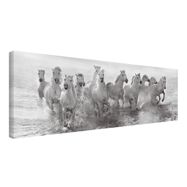 Leinwandbild - Weiße Pferde im Meer - Panorama Quer