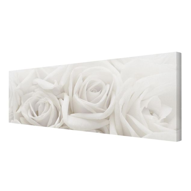 Leinwandbild Weiße Rosen - Panoramabild Quer