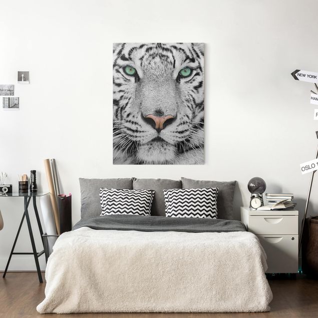 Leinwand Tiere Weißer Tiger