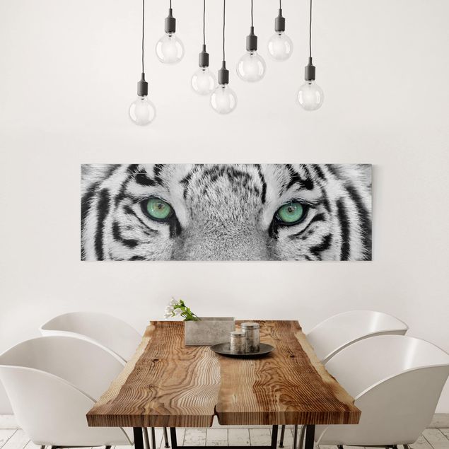 Leinwandbild Schwarz-Weiß - Weißer Tiger - Panoramabild Quer