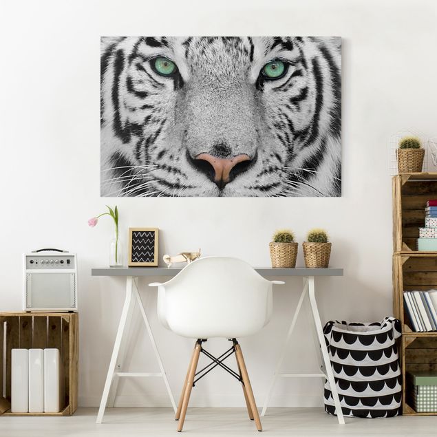 Leinwandbild Schwarz-Weiß - Weißer Tiger - Quer 3:2