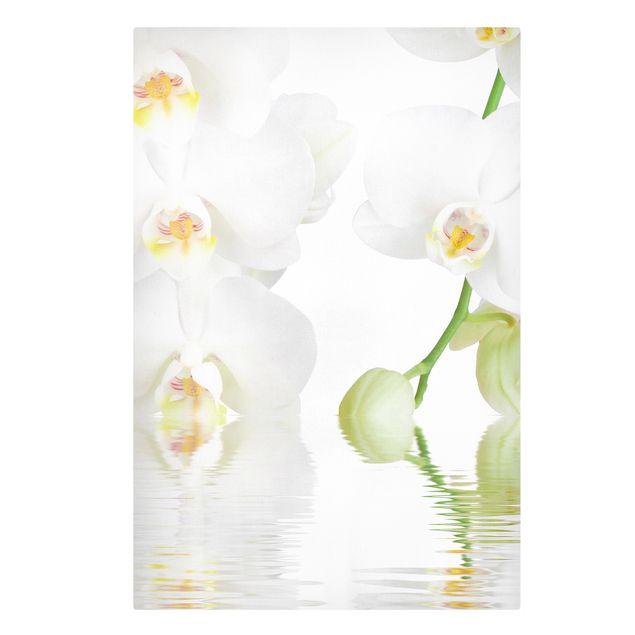 Leinwandbild - Wellness Orchidee - Weiße Orchidee - Hoch 2:3