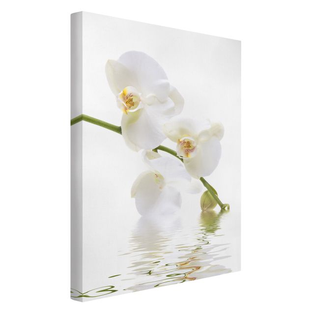 Leinwandbild - White Orchid Waters - Hoch 2:3
