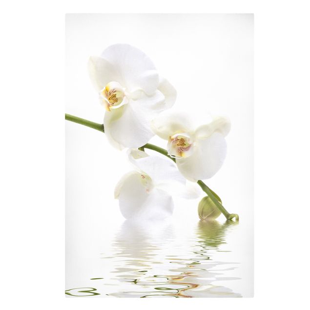 Leinwandbild - White Orchid Waters - Hoch 2:3