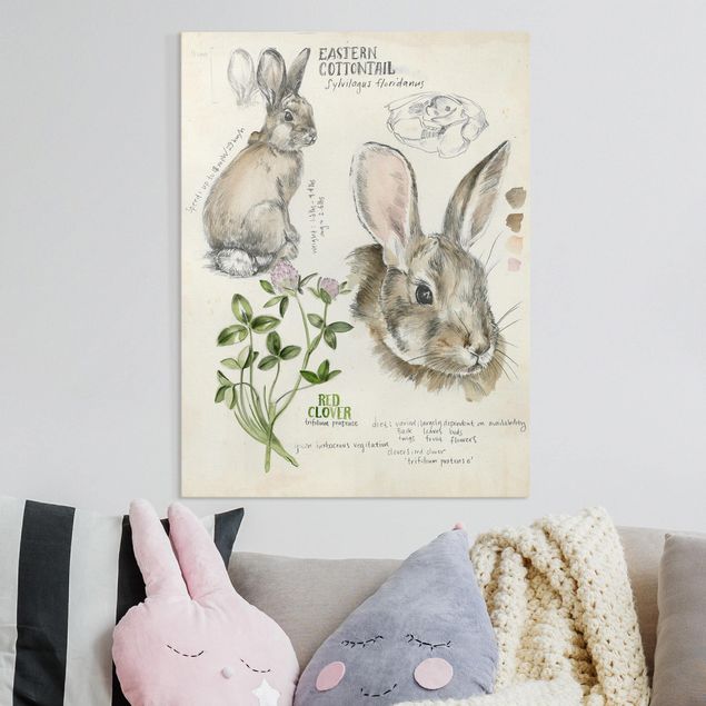 Leinwandbilder modern Wildnis Journal - Kaninchen