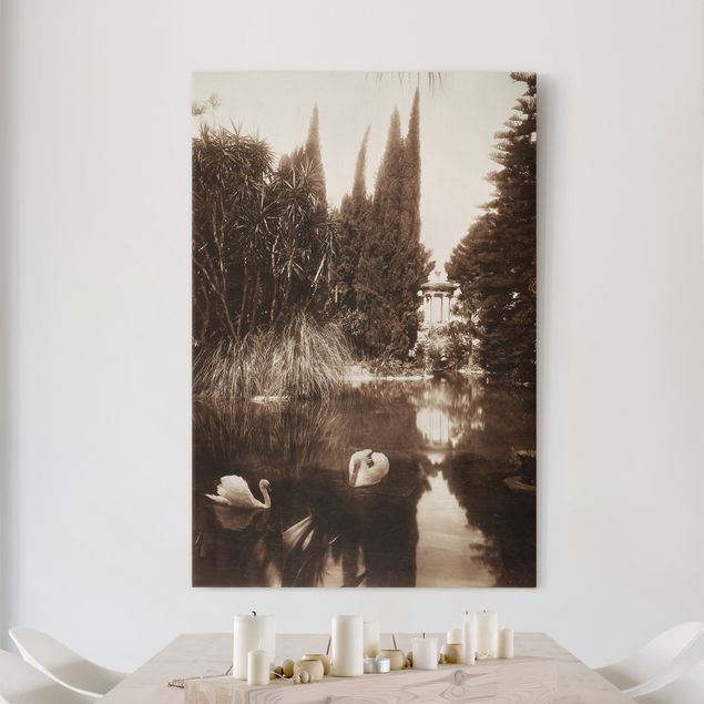 schwarz-weiß Bilder auf Leinwand Wilhelm von Gloeden - Im Park der Villa Tasca