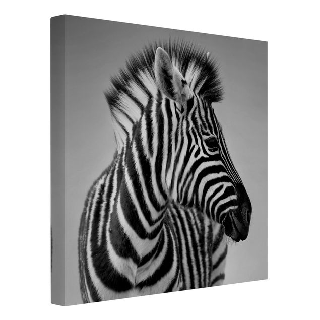 Leinwandbilder kaufen Zebra Baby Portrait II