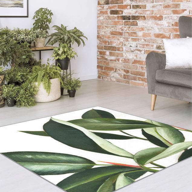 Große Teppiche Lieblingspflanzen - Gummibaum