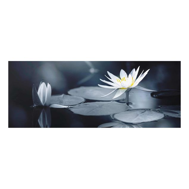 Glasbild - Lotus Spiegelung im Wasser - Panorama