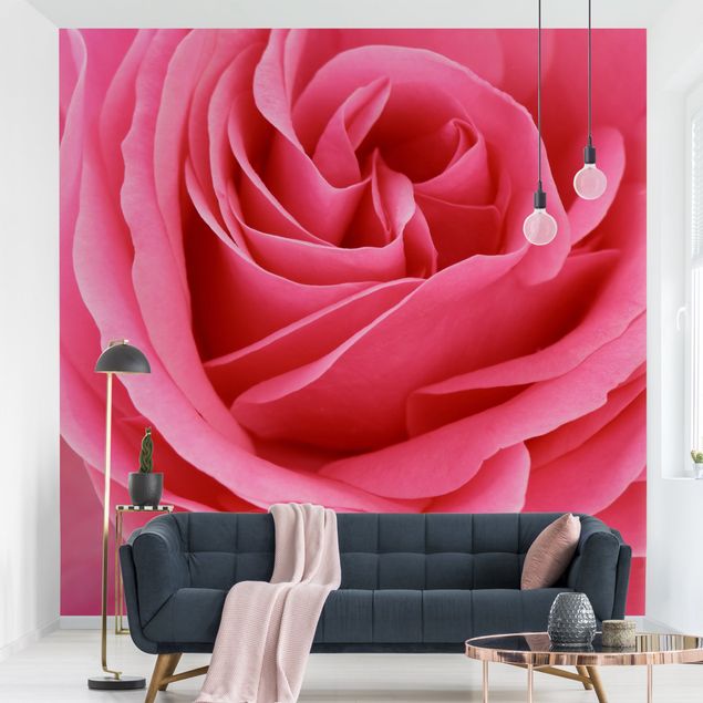 Tapete Rosen Lustful Pink Rose