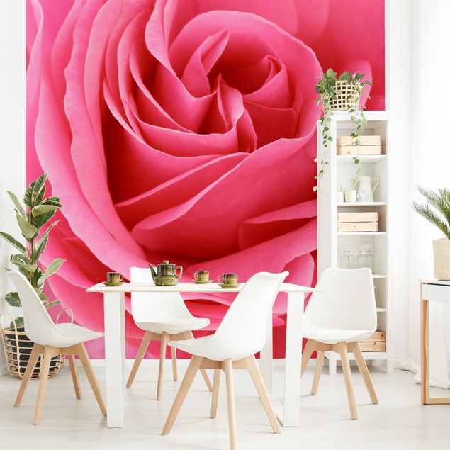 Design Tapeten Lustful Pink Rose
