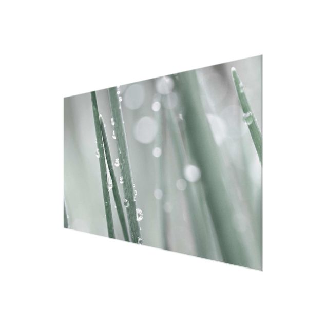 Glasbild - Makroaufnahme Wasserperlen am Gras - Querformat