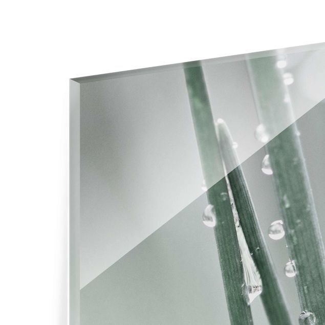 Glasbild - Makroaufnahme Wasserperlen am Gras - Querformat