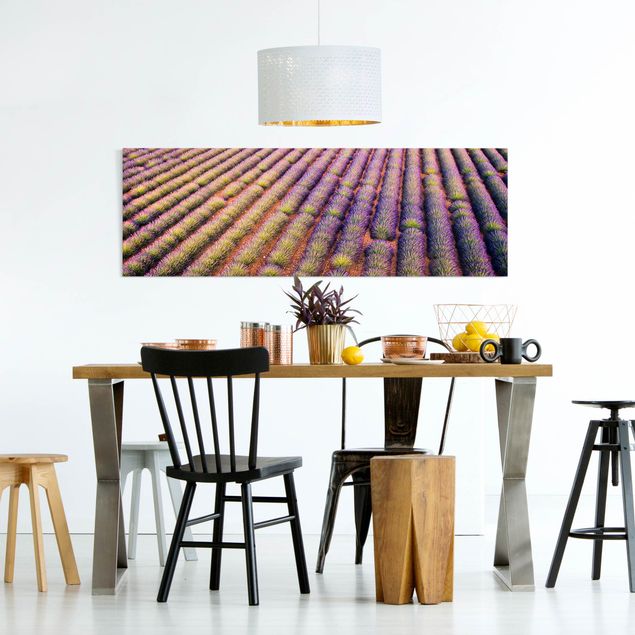 Leinwandbilder kaufen Malerisches Lavendelfeld