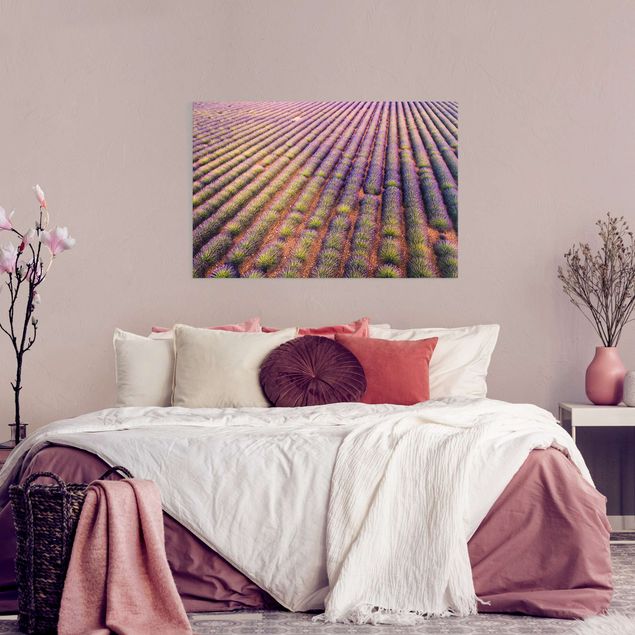 schöne Leinwandbilder Malerisches Lavendelfeld