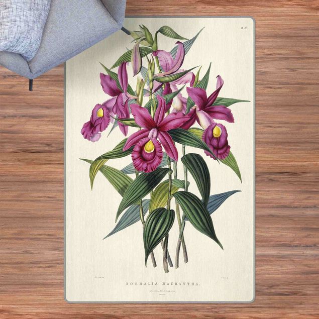 Teppich lila Maxim Gauci - Orchidee I
