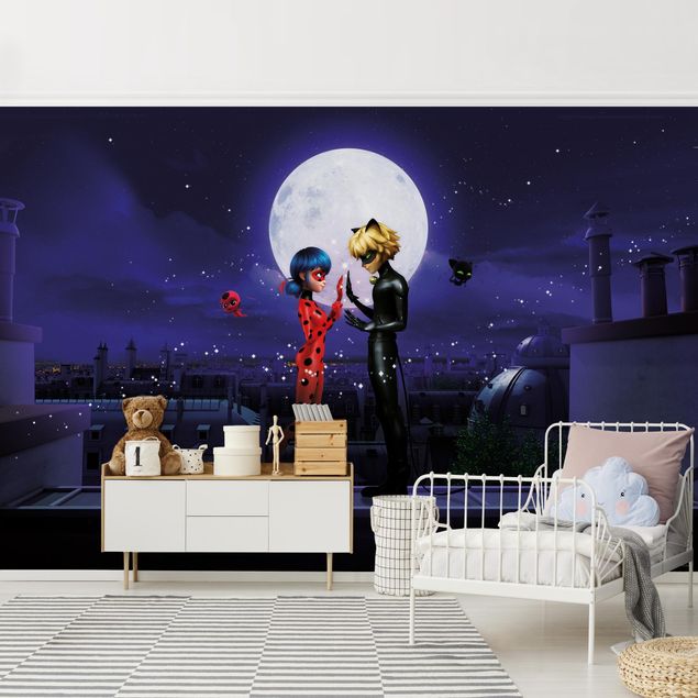 miraculous Miraculous Ladybug and Cat Noir im Mondlicht