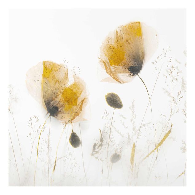 Glasbild - Mohnblumen und zarte Gräser im weichen Nebel - Quadrat