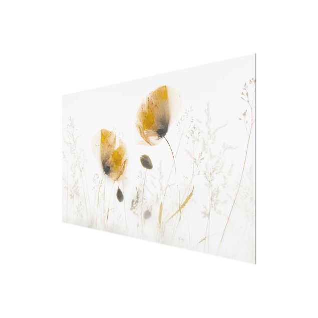 Glasbild - Mohnblumen und zarte Gräser im weichen Nebel - Querformat