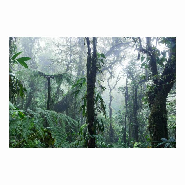 schöne Tapeten Monteverde Nebelwald