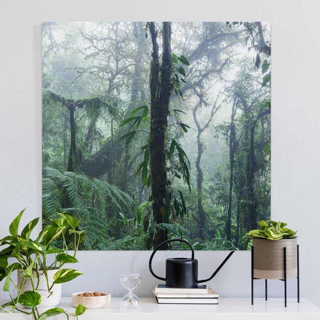Leinwand Natur Monteverde Nebelwald