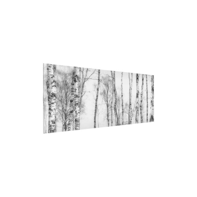 Wandbilder Mystischer Birkenwald Schwarz-weiß
