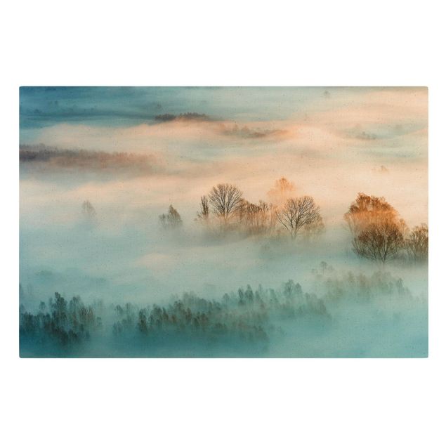 Leinwandbilder kaufen Nebel bei Sonnenaufgang