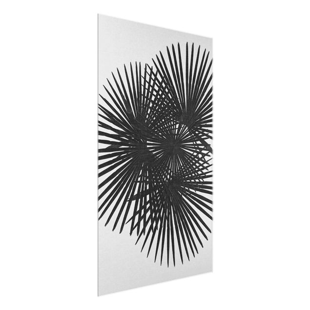 Glasbilder Palmenfarne in Schwarz-Weiß