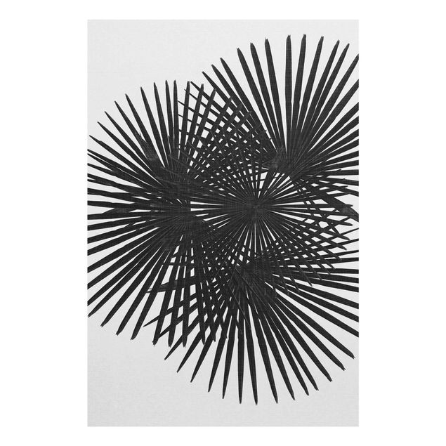 Glasbild - Palmenfarne in Schwarz-Weiß - Hochformat