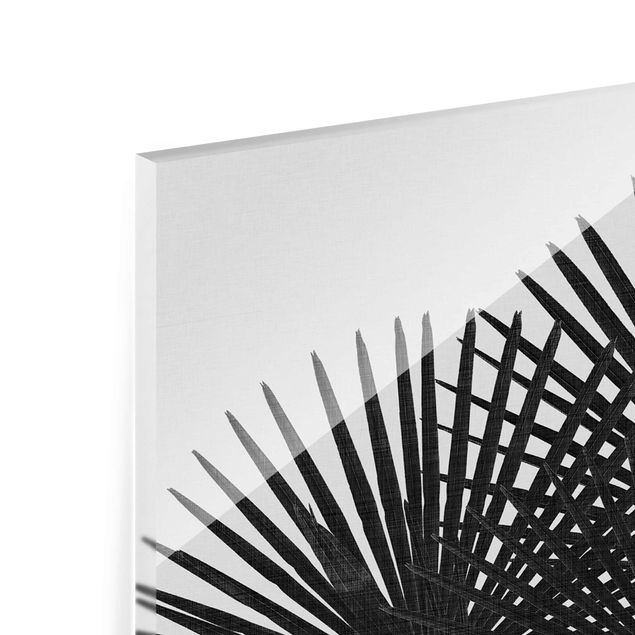 Glasbild - Palmenfarne in Schwarz-Weiß - Hochformat