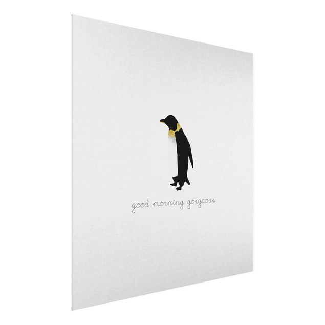 Glas Wandbilder Pinguin Zitat Good Morning Gorgeous