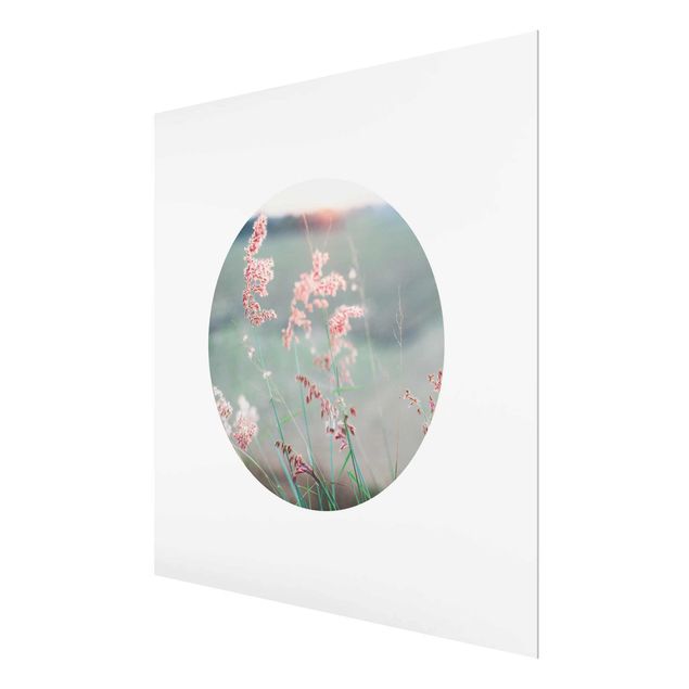 Glasbild - Pinke Blumen im Kreis - Quadrat