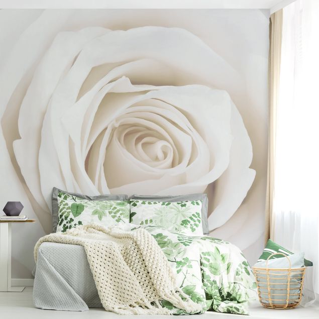 Design Tapeten Pretty White Rose
