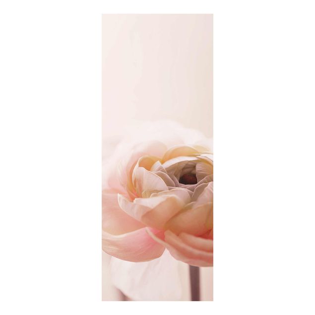 Bilder auf Glas Rosa Blüte im Fokus