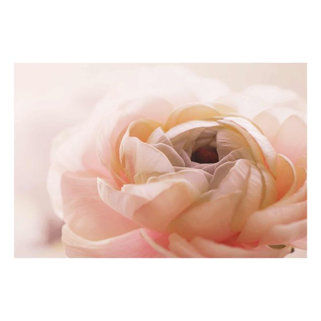 Glasbilder Rosa Blüte im Fokus