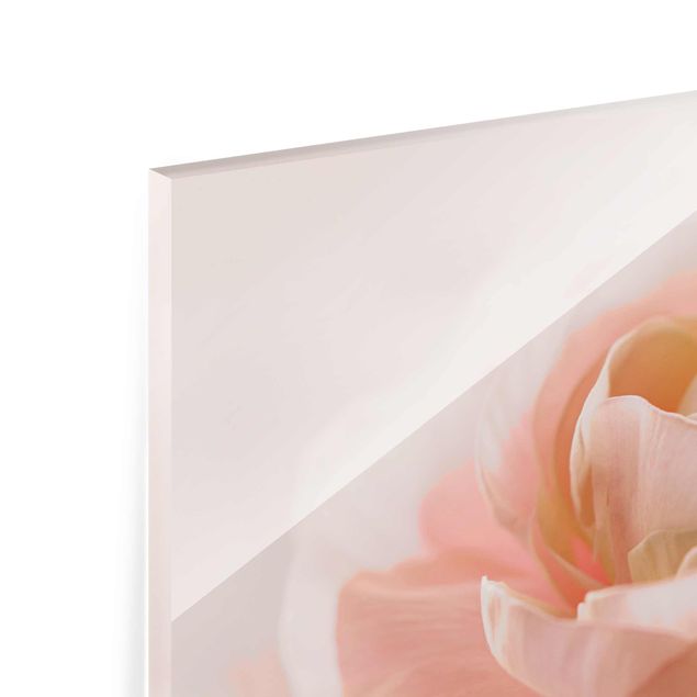 Glasbild - Rosa Blüte im Fokus - Querformat