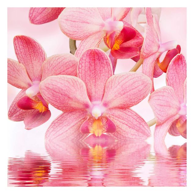 selbstklebende Tapete Rosa Orchideen auf Wasser