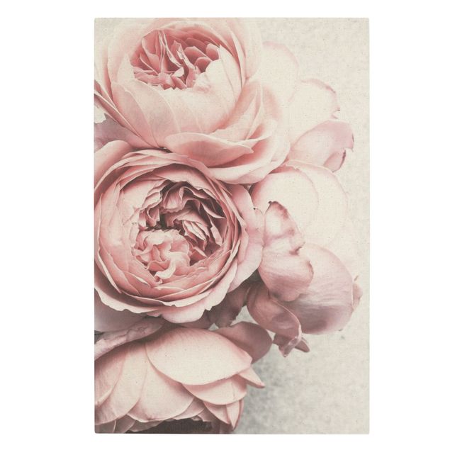 Leinwandbild - Rosa Pfingstrosenblüten Shabby Pastell - Hochformat 3:2