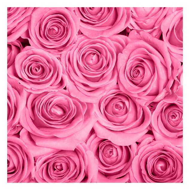 Tapeten kaufen Rosa Rosen