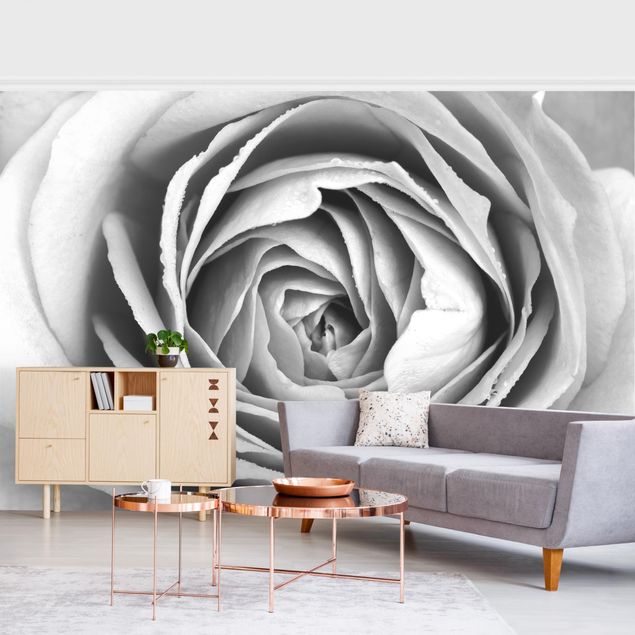 Tapete Landhausstil Rosa Rosenblüte Schwarz-Weiß