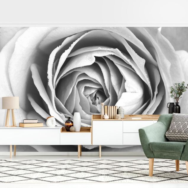 Design Tapeten Rosa Rosenblüte Schwarz-Weiß