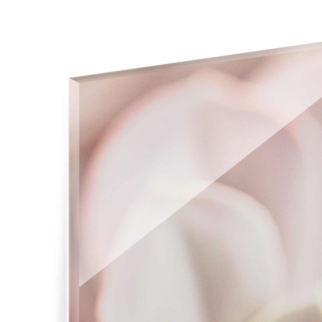 Glasbild - Rosane Sukkulentenblüte - Hochformat